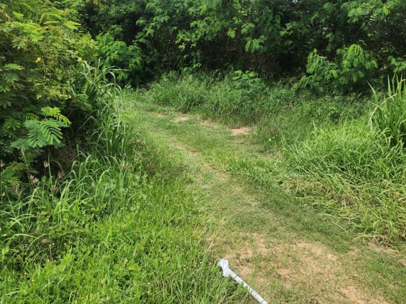 ขายด่วน! ที่ดิน 3 ไร่ ตำบลหนองระบัวระเหว จังหวัดชัยภูมิ ทำเลดี