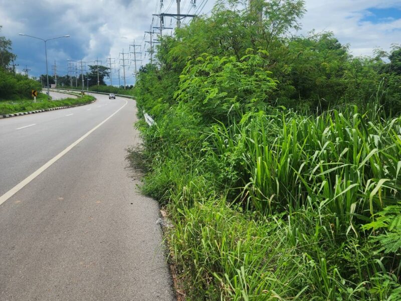 ขายด่วน! ที่ดิน 3 ไร่ ตำบลหนองระบัวระเหว จังหวัดชัยภูมิ ทำเลดี