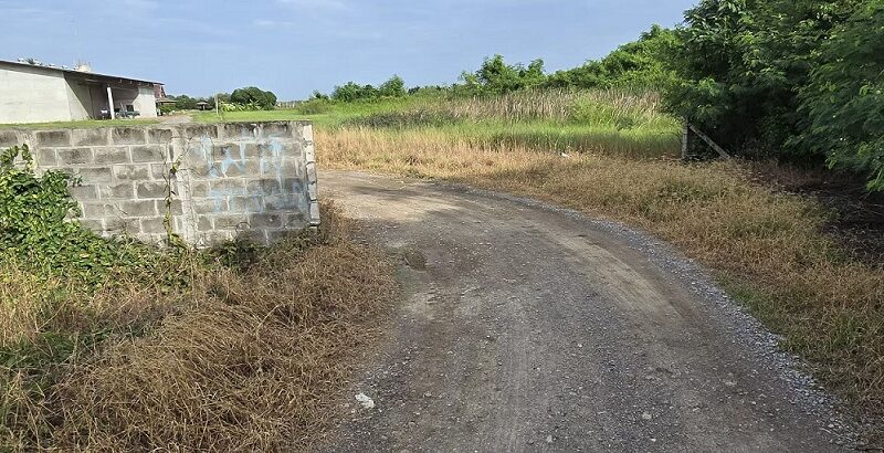ขายที่ดินใกล้วัดดอนขนาก