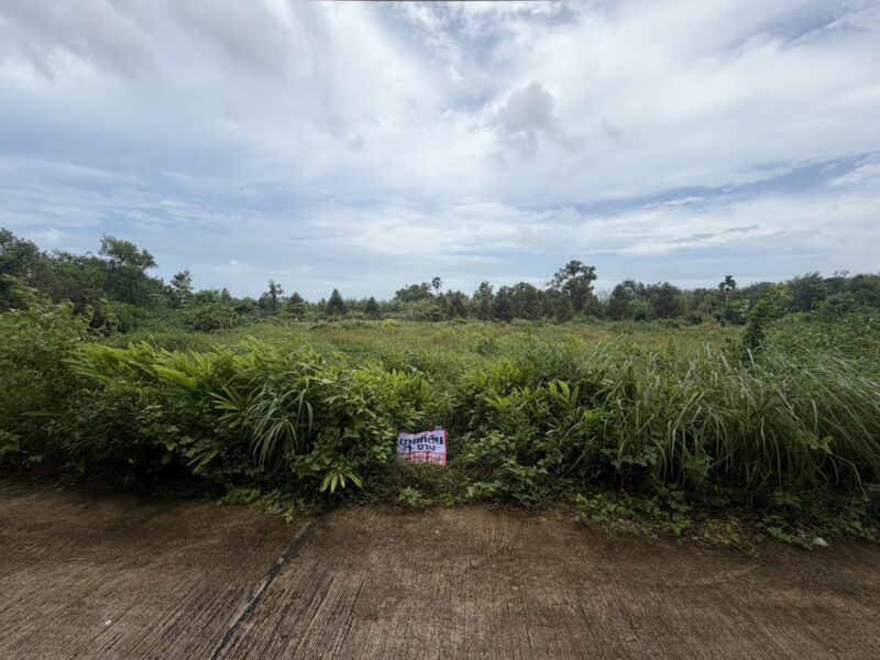 ขายที่ดิน 1 งาน ใกล้วัดซากพง ต.ซากพง อ.แกลง จ.ระยอง ราคาเพียง 650,000 บาท