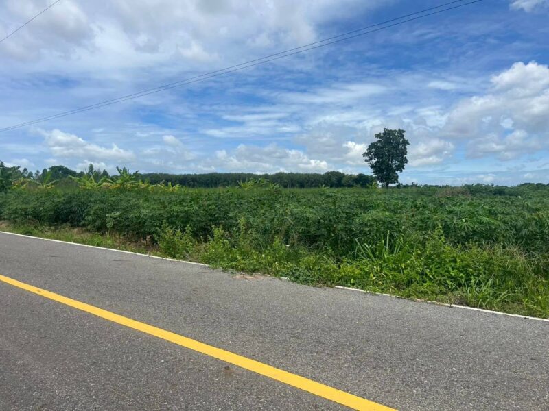 ขายที่ดินพร้อมตึก 6 ชั้น (ขายตามสภาพ) 104 ตร.ว. ซอยทองหล่อ 25 ใกล้ รพ.คามิลเลียน