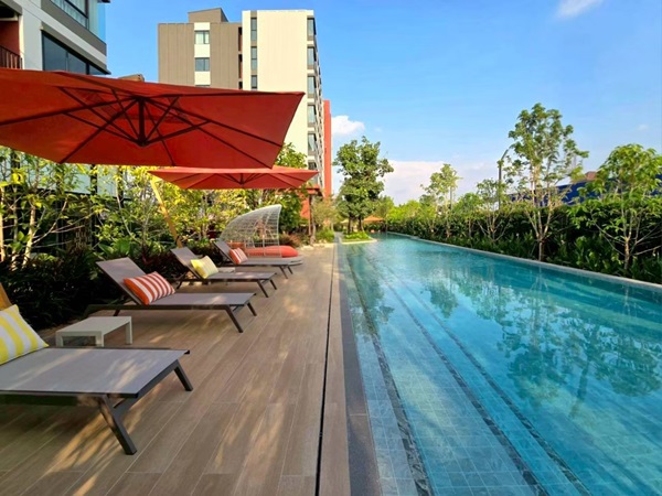 ขายคอนโด ใหม่ dcondo Vivid Rangsit ตรงข้าม ม.กรุงเทพ ข้ามสะพานลอยก็ถึงมหาลัย พร้อมอยู่ โทร 0616161426