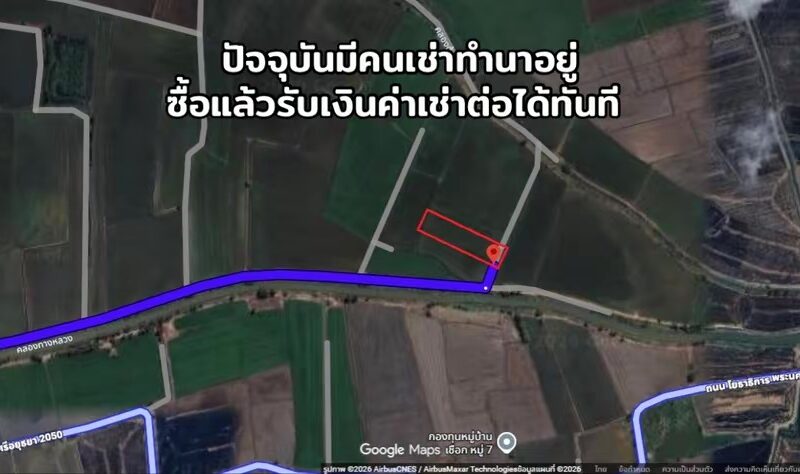 🔥 ขายด่วน! ที่นาแปลงสวย 9 ไร่ 2 งาน 10 ตร.ว. ต.ลาดงา อ.เสนา จ.พระนครศรีอยุธยา (เจ้าของขายเอง)