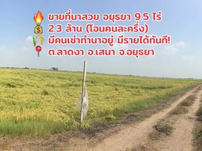🔥 ขายด่วน! ที่นาแปลงสวย 9 ไร่ 2 งาน 10 ตร.ว. ต.ลาดงา อ.เสนา จ.พระนครศรีอยุธยา (เจ้าของขายเอง)