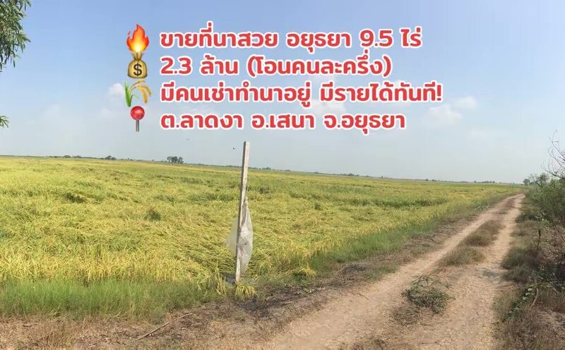 🔥 ขายด่วน! ที่นาแปลงสวย 9 ไร่ 2 งาน 10 ตร.ว. ต.ลาดงา อ.เสนา จ.พระนครศรีอยุธยา (เจ้าของขายเอง)