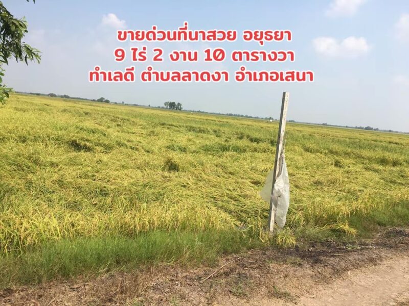 🔥 ขายด่วน! ที่นาแปลงสวย 9 ไร่ 2 งาน 10 ตร.ว. ต.ลาดงา อ.เสนา จ.พระนครศรีอยุธยา (เจ้าของขายเอง)