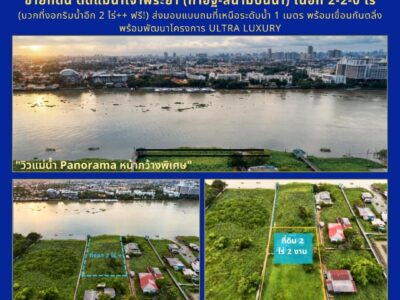 🌊 [RARE ITEM] ขายที่ดินแปลงงามติดแม่น้ำเจ้าพระยา (ท่าอิฐ - สนามบินน้ำ) เนื้อที่โฉนด 2-2-0 ไร่ แถมฟรี! พื้นที่งอกริมน้ำ 2 ไร่ (รวมพื้นที่ใช้สอยจริงเกือบ 5 ไร่)