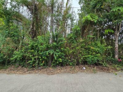 ขายด่วนที่ดินศรีด่าน 100 ตรว ติดถนนคอนกรีตสาธารณะ ซ.พัฒนาชุมชน 29 บางพลี สมุทรปราการ