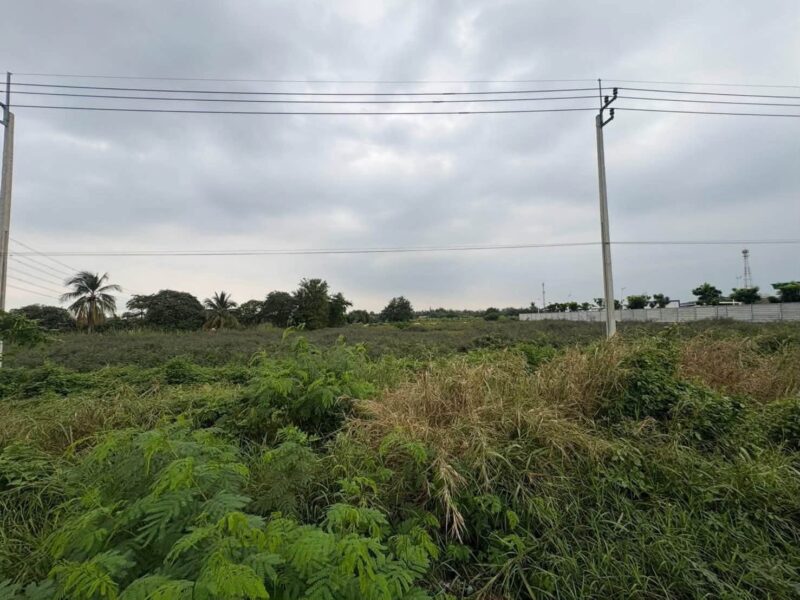 ขายที่ดิน 3 ไร่ครึ่งติดถนนสาธารณะ ติดถนนราชพฤกษ์ ปากเกร็ด นนท์