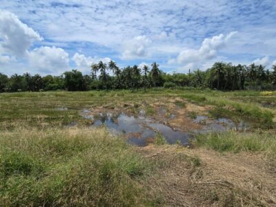 ขายด่วนที่ดิน 600 ตรว ติดถนนสาธารณะ ต.มหาสวัสดิ์ อ.พุทธมณฑล จ.นครปฐม