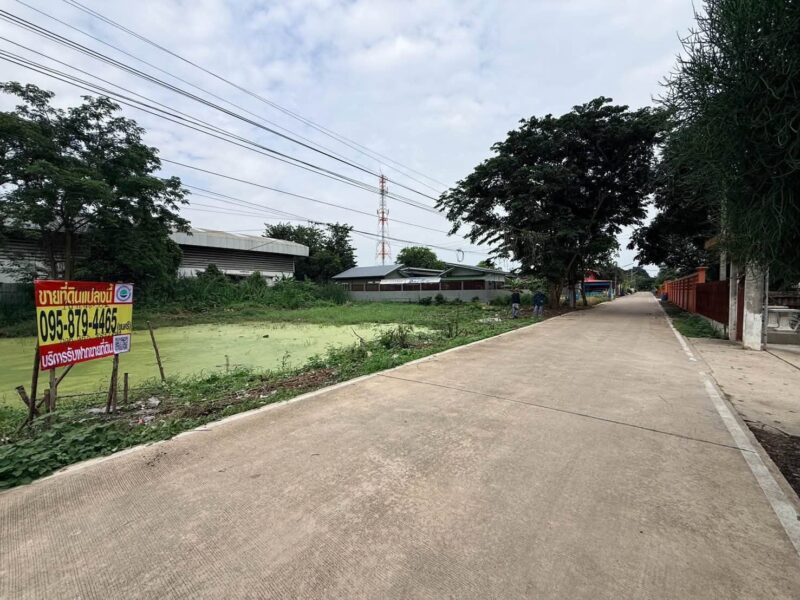 ขายด่วนที่ดิน 1 ไร่ ติดถนนคอนกรีตสาธารณะ ซ.คลองสาม 12/19 คลองหลวง ปทุมธานี