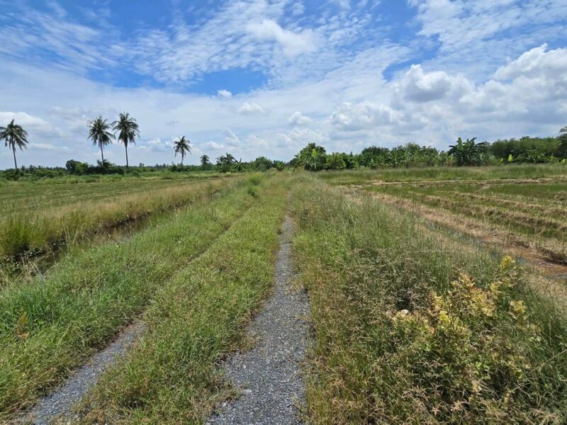 ขายด่วนที่ดิน 600 ตรว ติดถนนสาธารณะ ต.มหาสวัสดิ์ อ.พุทธมณฑล จ.นครปฐม