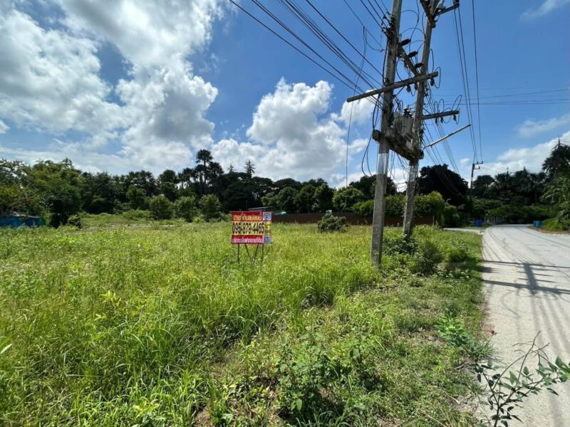 ขายด่วนที่ดิน 345 ตรว ติดถนนลาดยางสาธารณะ ถมแล้ว ต.แหลมบัว อ.นครชัยศรี จ.นครปฐม