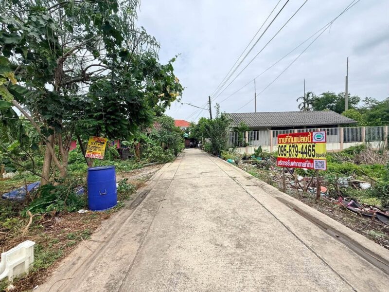 ขายด่วนที่ดินตลาดใหญ่ลำลูกกา 100 ตรว ติดถนนคอนกรีต ซ.เทศบาล 17 ลำลูกกา ปทุมธานี