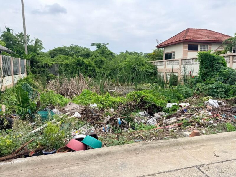 ขายด่วนที่ดินตลาดใหญ่ลำลูกกา 100 ตรว ติดถนนคอนกรีต ซ.เทศบาล 17 ลำลูกกา ปทุมธานี
