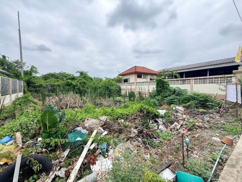 ขายด่วนที่ดินตลาดใหญ่ลำลูกกา 100 ตรว ติดถนนคอนกรีต ซ.เทศบาล 17 ลำลูกกา ปทุมธานี