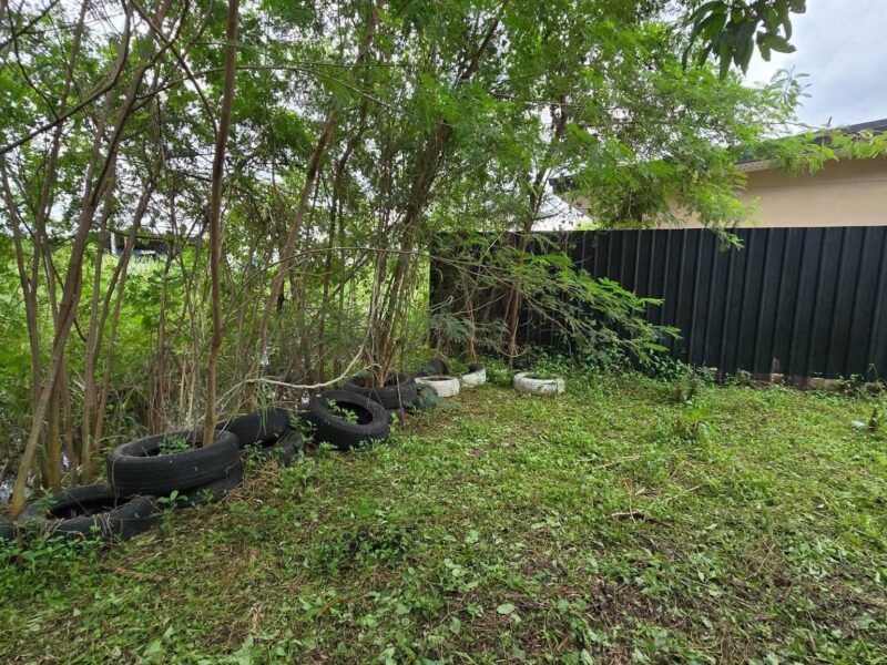 ขายที่ดินพัฒนาการ 191 ตรว ติดถนนลาดยางสาธารณะ ถมแล้ว ซ.พัฒนาการ 96 ประเวศ กทม.