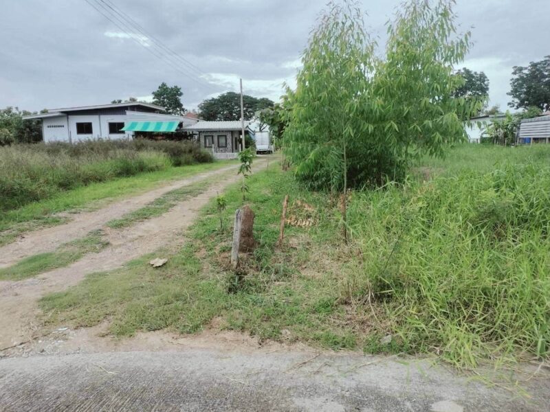ขายด่วนที่ดินคลองห้า 587 ตรว ติดถนนคอนกรีต สวนรังสิต เลคแลนด์ อ.คลองหลวง จ.ปทุมธานี