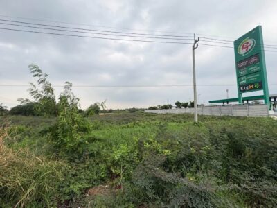 ขายที่ดิน 3 ไร่ครึ่งติดถนนสาธารณะ ติดถนนราชพฤกษ์ ปากเกร็ด นนท์