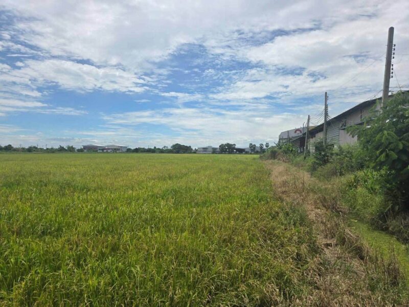ขายด่วนที่ดิน 15 ไร่เศษ ติดถนนสาธารณะ 2 ด้าน ถ.บางบัวทอง-สุพรรณบุรี ไทรน้อย นนทบุรี