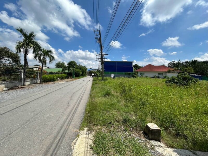 ขายด่วนที่ดิน 345 ตรว ติดถนนลาดยางสาธารณะ ถมแล้ว ต.แหลมบัว อ.นครชัยศรี จ.นครปฐม