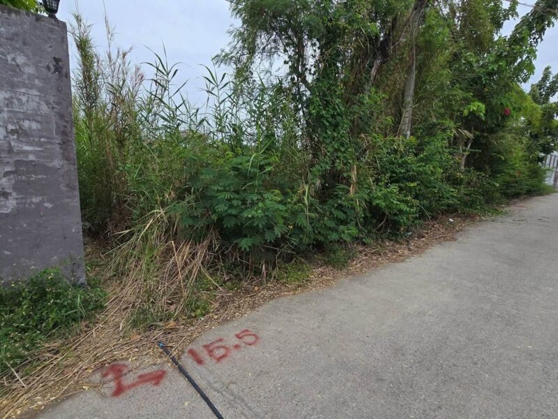 ขายด่วนที่ดินศรีด่าน 100 ตรว ติดถนนคอนกรีตสาธารณะ ซ.พัฒนาชุมชน 29 บางพลี สมุทรปราการ