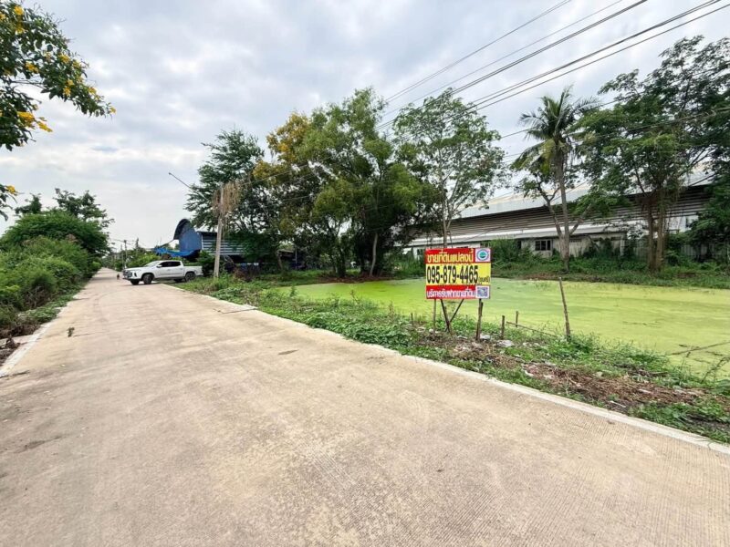ขายด่วนที่ดิน 1 ไร่ ติดถนนคอนกรีตสาธารณะ ซ.คลองสาม 12/19 คลองหลวง ปทุมธานี