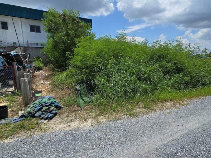 ขายด่วนที่ดินใกล้วัดลานตากฟ้า 55 ตรว ถมแล้ว ลานตากฟ้า นครชัยศรี นครปฐม