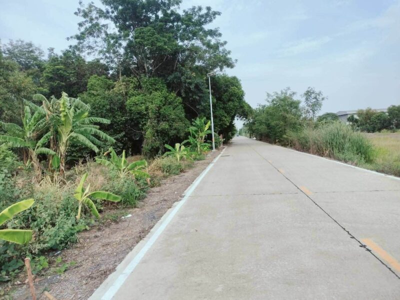 ขายด่วนที่ดิน 452 ตรว ติดถนนคอนกรีตสาธารณะ ถมแล้ว ซ.คลองสาม 12/17 คลองหลวง ปทุมธานี