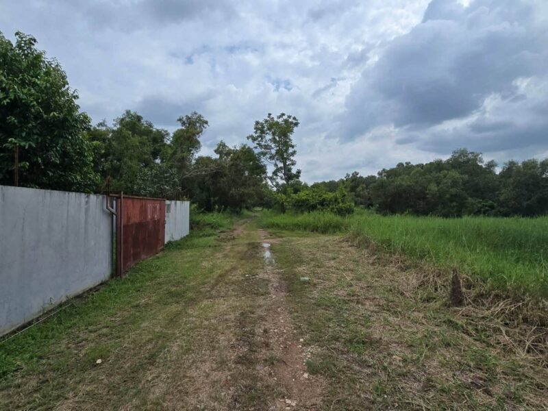 ขายด่วนที่ดิน 1 ไร่ติดถนนสาธารณะ 2 ด้าน แปลงมุม ซ.ประชาสำราญ 2 หนองจอก กรุงเทพฯ