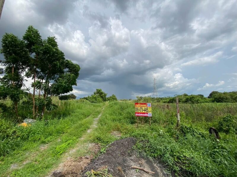 ขายด่วนที่ดิน 200 ตรว ติดถนนสาธารณะ ซ.ศิริ หนองเสือ ปทุมธานี