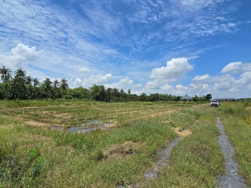 ขายด่วนที่ดิน 600 ตรว ติดถนนสาธารณะ ต.มหาสวัสดิ์ อ.พุทธมณฑล จ.นครปฐม
