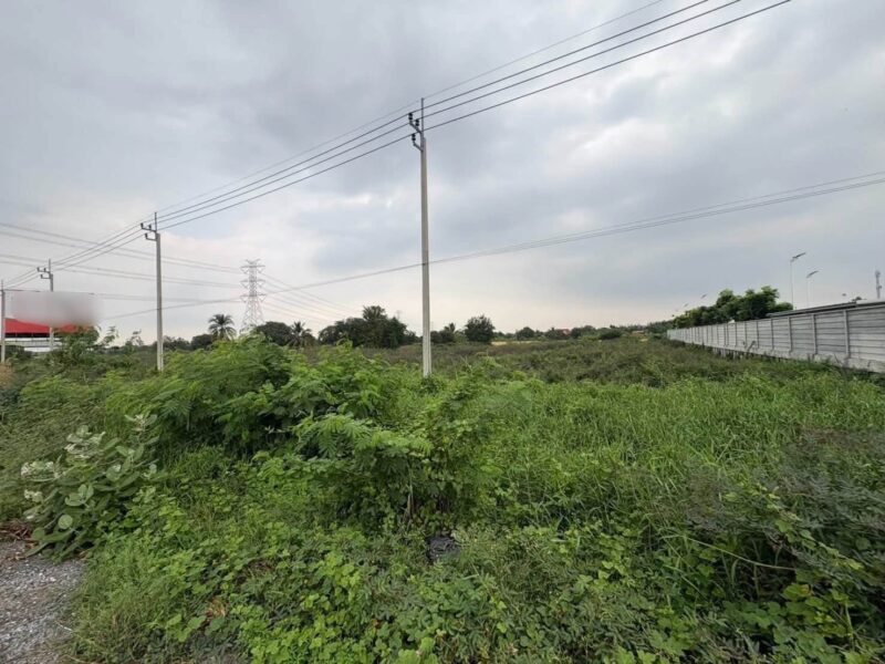 ขายที่ดิน 3 ไร่ครึ่งติดถนนสาธารณะ ติดถนนราชพฤกษ์ ปากเกร็ด นนท์