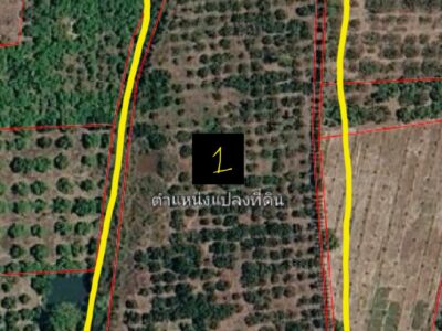 ขายที่ดิน3แปลง 21ไร่กว่า อ.เวียงหนองล่อง จ.ลำพูน