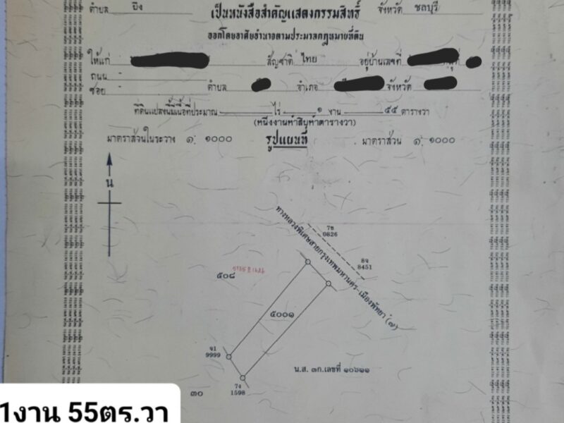 ขายที่ดิน2แปลงติดกัน หนองแขวะ อ.ศรีราชา จ.ชลบุรี
