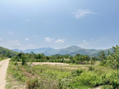 ที่ดิน โฉนด สวยสุด ราคาถูกๆ