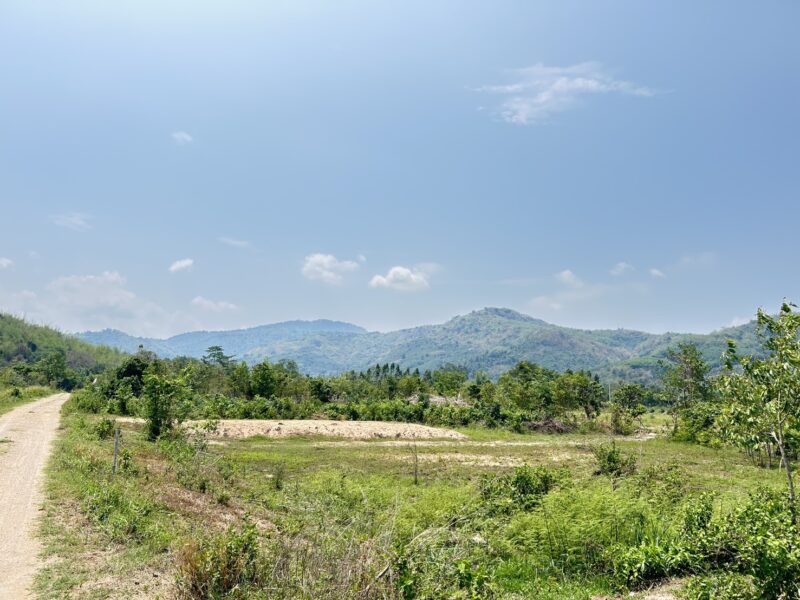 ที่ดิน โฉนด สวยสุด ราคาถูกๆ