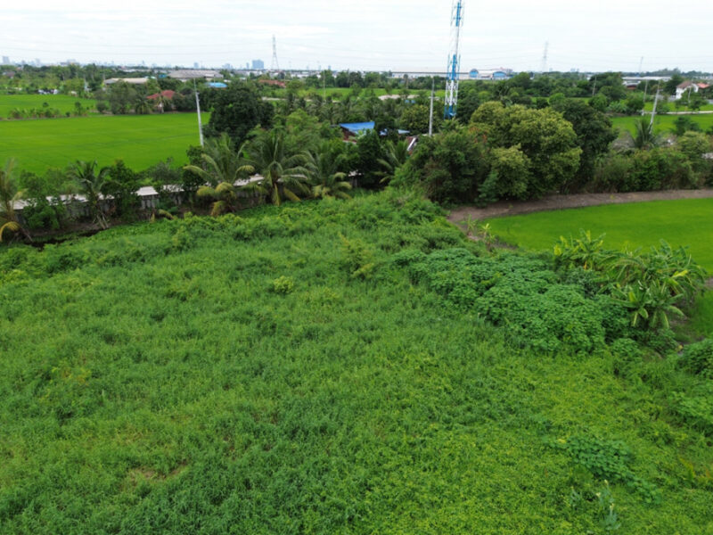 ขาย ที่ดิน ถ.เลียบคลองเกาะเกรียง บางคูวัด 9 ไร่ 21 ตรว เหมาะพัฒนาจัดสรร หรือซื้อเก็บทำจัดสรรได้
