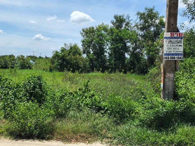 ทดคลองสามพี่เอ๋ ขาย ที่ดิน - ปทุมธานี 1000000 บาท