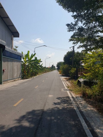 ทดคุณต้นคลอง8 ขาย ที่ดิน - ปทุมธานี 1000000 บาท