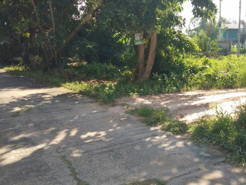 🌞ขายด่วน! ที่ดินทำเลทองแปลงหัวมุม 114 ตร.ว. ใกล้ถ.วาริน-ศรีสะเกษ น้ำไม่ท่วม บรรยากาศดี 💫 เหมาะสำหรับสร้างบ้านพักอาศัย, อาคารพาณิชย์ หรือซื้อเก็บเก็งกำไร ทำเลดีการเดินทางสะดวกมาก เข้าซอยเพียง 20 เมตรจากถนนทางหลวง 226 แปลงสวยเป็นที่ดินผืนหัวมุม หันหน้าทิศ