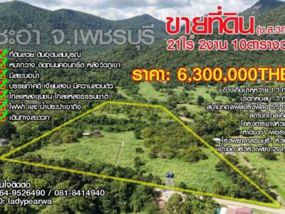 ขายที่ดิน21ไร่2งาน10ตารางวา ชะอำ เพชรบุรี ติดถนนคอนกรีต เข้า-ออกสะดวก