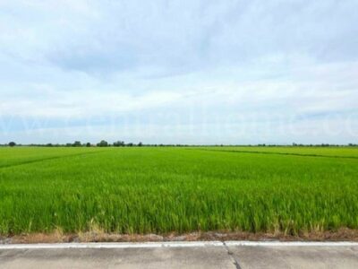ที่ดินเปล่า สีม่วง 6-1-89 ไร่ คลองนิยมยาตรา บางบ่อ สมุทรปราการ ทำเลดี