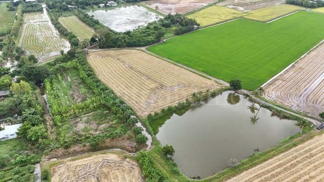 ราคาพิเศษ ขายด่วนมาก ที่ดิน 9-3-99.5 ไร่ ดอนโพธิ์ - สุพรรณบุรี ทำเลดี