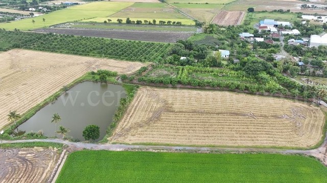 ราคาพิเศษ ขายด่วนมาก ที่ดิน 9-3-99.5 ไร่ ดอนโพธิ์ - สุพรรณบุรี ทำเลดี