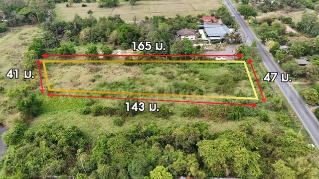 จองด่วน ที่ดินเปล่า 4 ไร่ ติดถนนใหญ่ นย.2003 ป่าขะ บ้านนา นครนายก