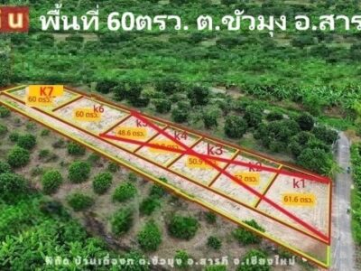 ขายที่ดินแบ่งจัดสรร 60ตรว. ลดเหลือ 294,000บ. ฟรีโอน ถนน น้ำ ไฟฟ้า ใกล้วัดขัวมุง ต.ขัวมุง อ.สารภี เชียงใหม่
