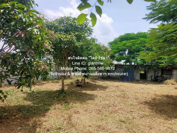DSL-709 ขาย ที่ดิน ขายที่ดินเปล่า 1-0-14.5 ไร่ (414.5 ตร.ว.) ซ.สุวินทวงศ์ ใกล้สนามกอล์ฟฟินิกซ์ โกลด์ กอล์ฟ แบงค็อก กรุงเทพ หนองจอก
