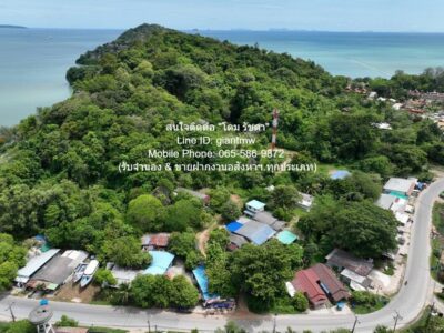 DSL-721.2 ขาย ที่ดิน ขายที่ดินสวนป่า บนเนินไหล่เขา วิวทะเล (Seaview) เกาะสิเหร่ ภูเก็ต 5-0-48.7 ไร่ (ห่างชายทะเล 100 ม.), ราคา 76,826,250