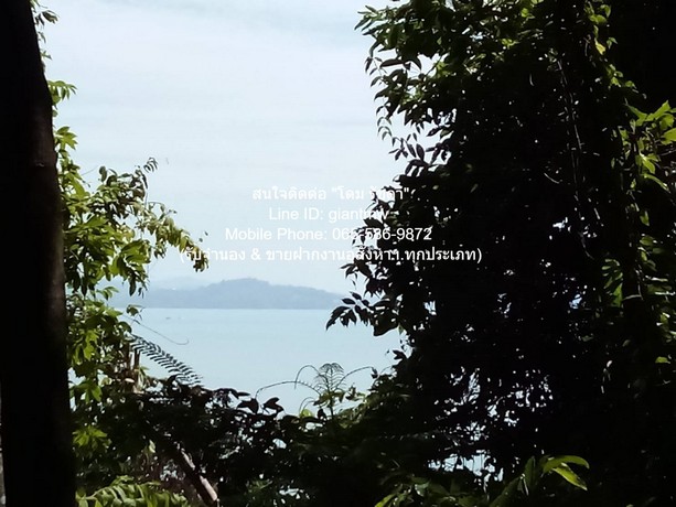 DSL-721.2 ขาย ที่ดิน ขายที่ดินสวนป่า บนเนินไหล่เขา วิวทะเล (Seaview) เกาะสิเหร่ ภูเก็ต 5-0-48.7 ไร่ (ห่างชายทะเล 100 ม.), ราคา 76,826,250